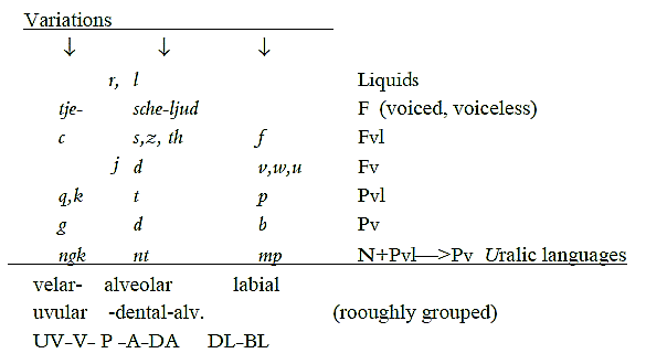 organs of speech. axis of the speech organs,